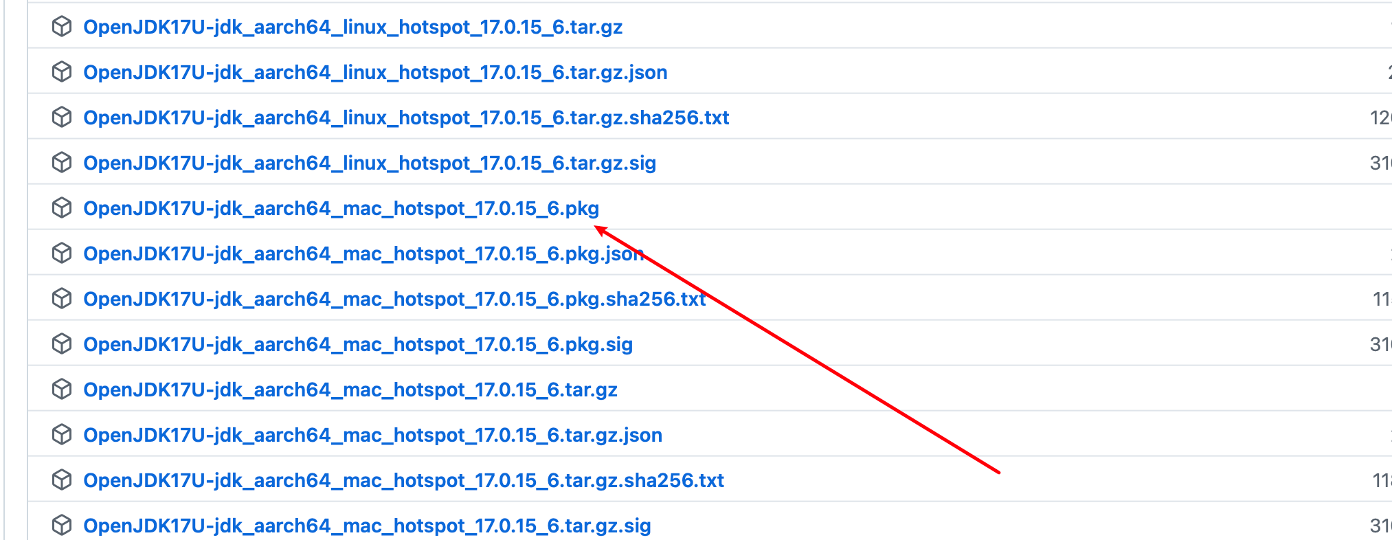 image-20250727174312532