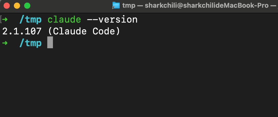 Claude Code版本查询输出示例，版本为2.1.107